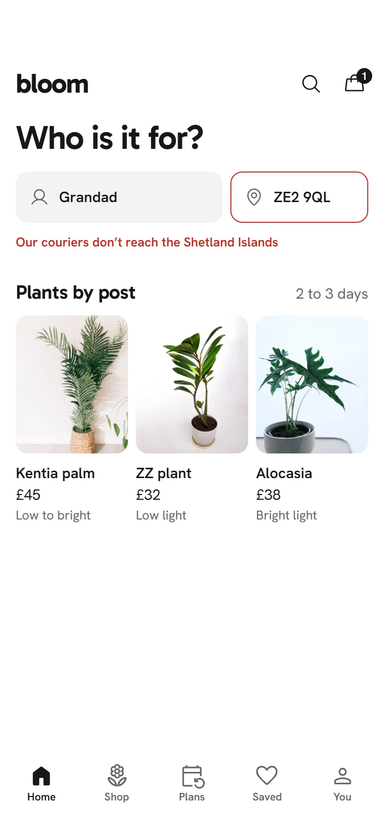 Bloom Store Can't Reach Them preview