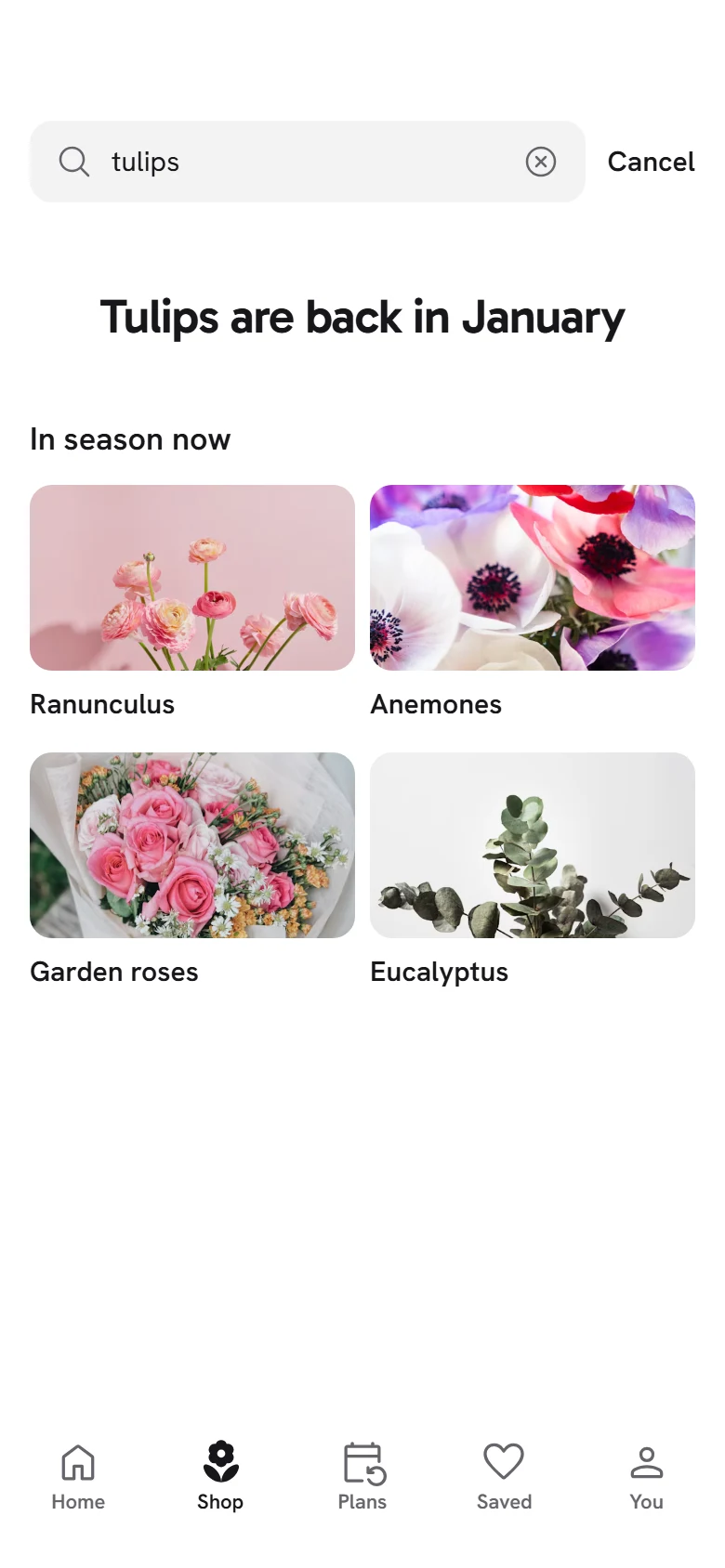 Bloom Store No Results preview