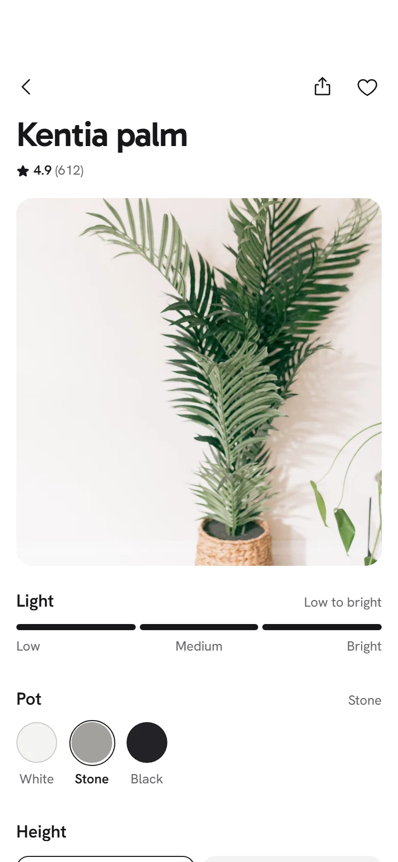 Bloom Store Plant preview