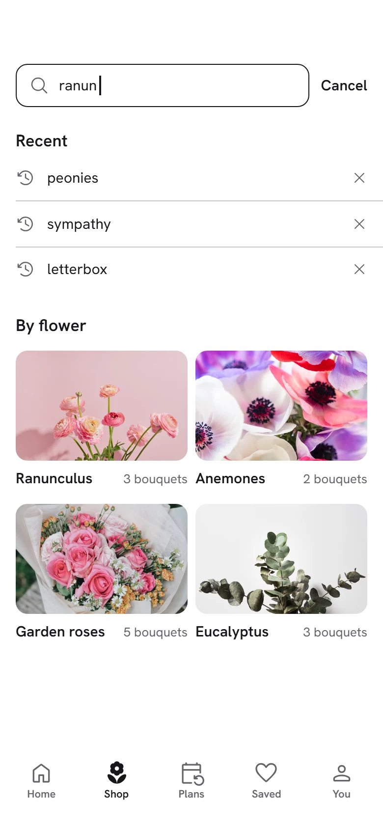 Bloom Store Search preview