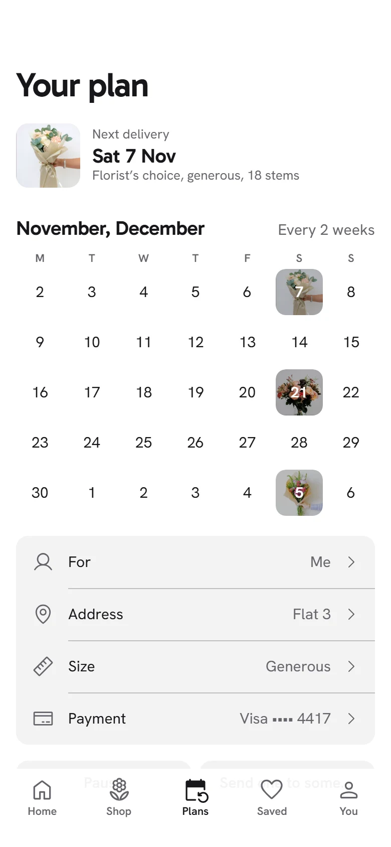 Bloom Store Your Plan preview