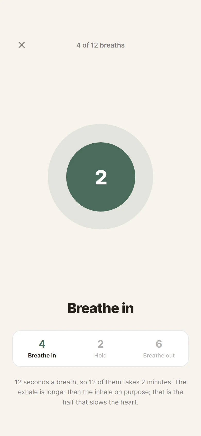 Cairn Breathing Pacer preview