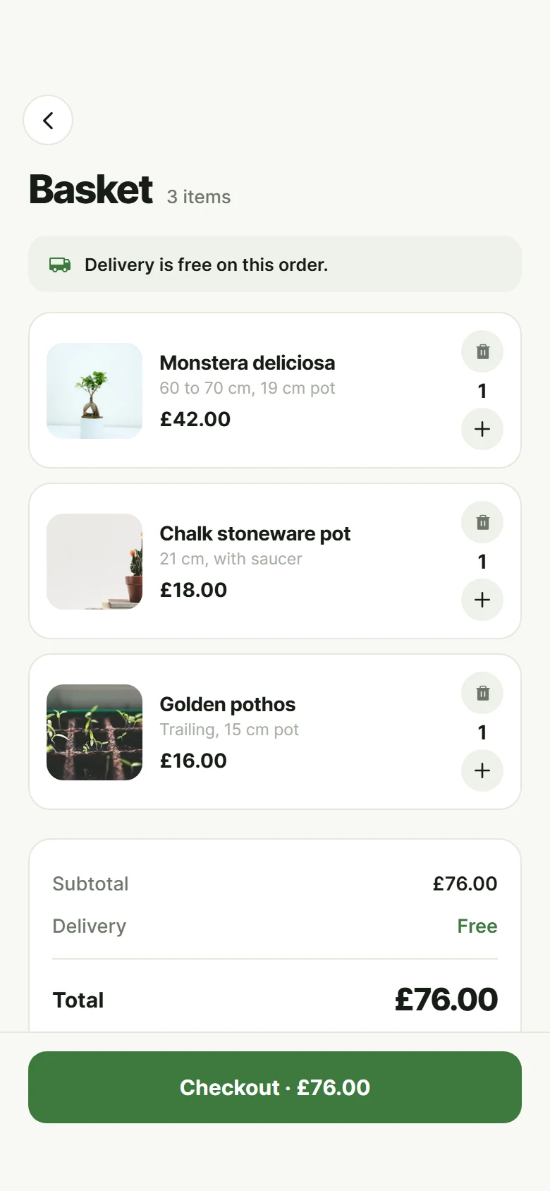 Fern Basket preview