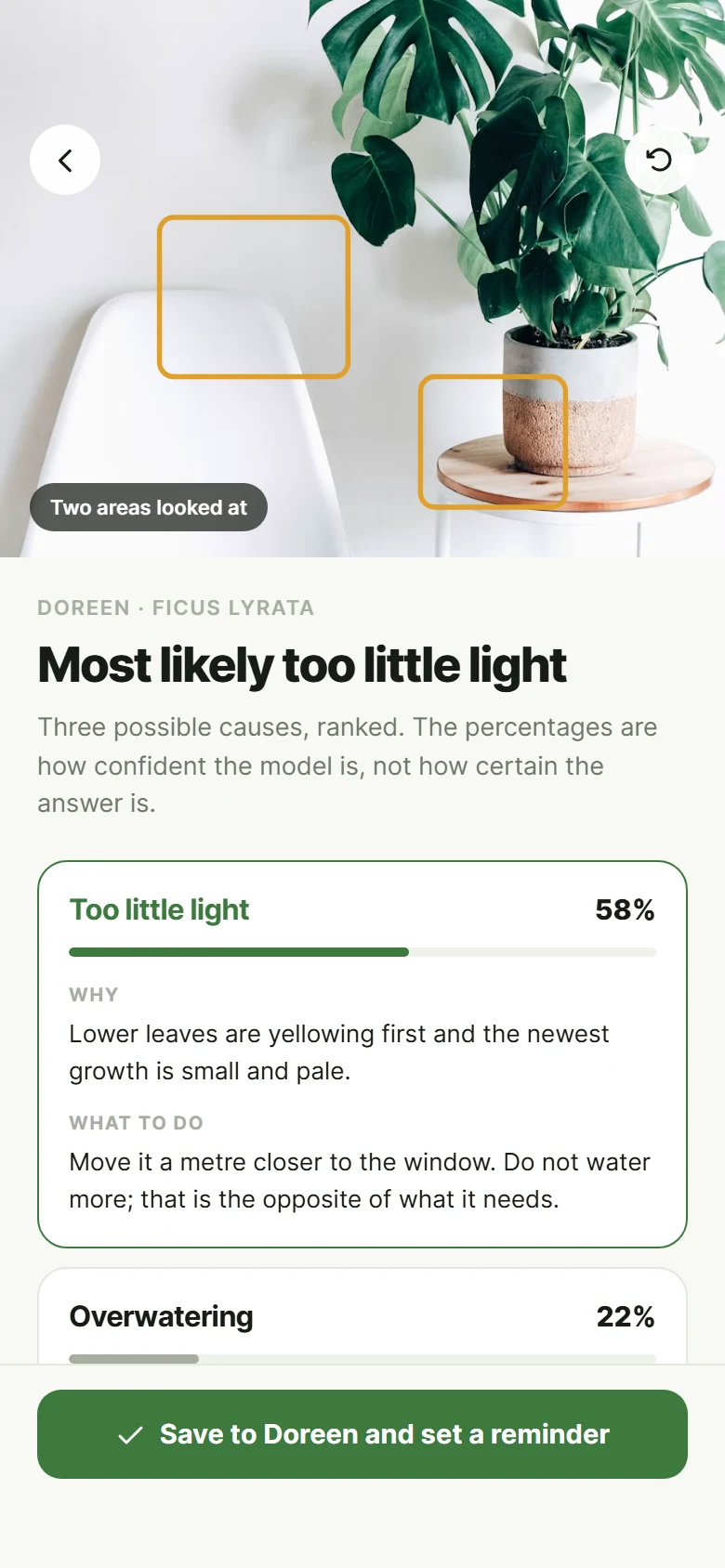 Fern Diagnosis preview