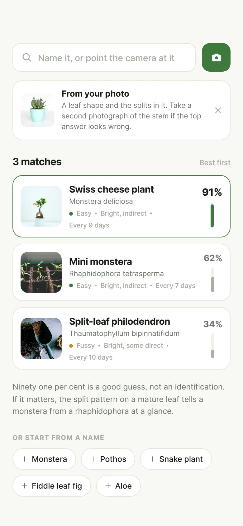 Fern Identify preview