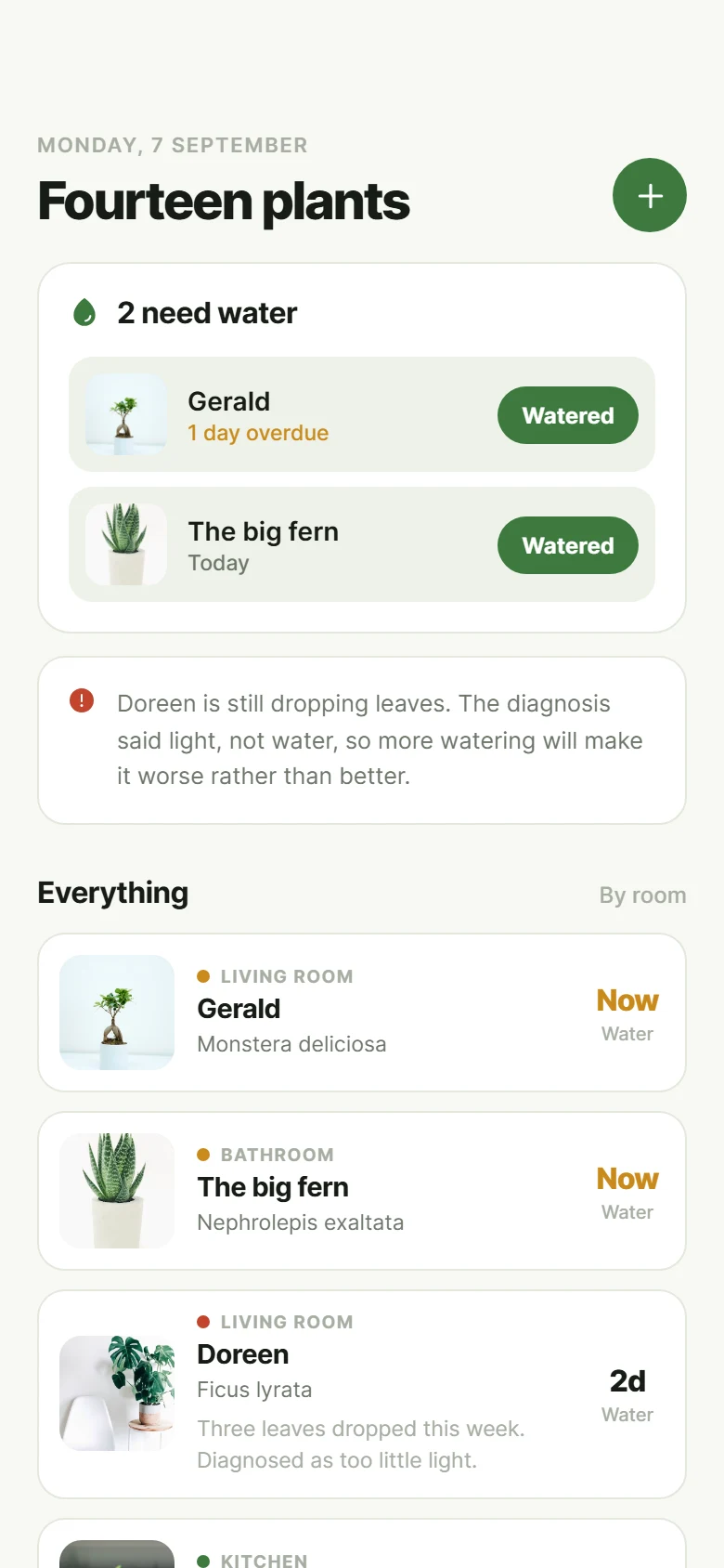 Fern Plant Care Home preview