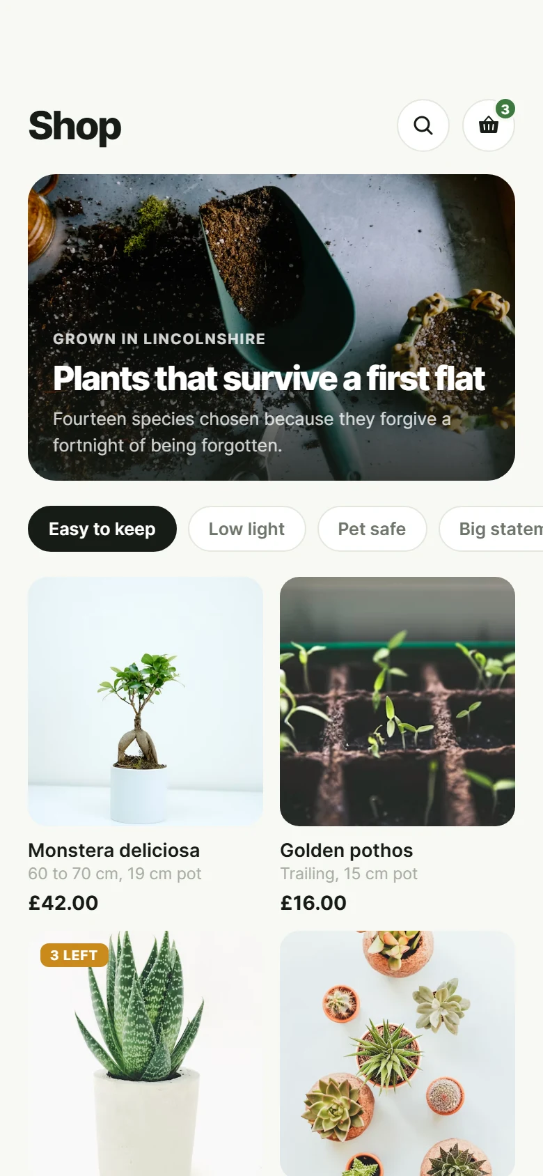 Fern Plant Shop preview