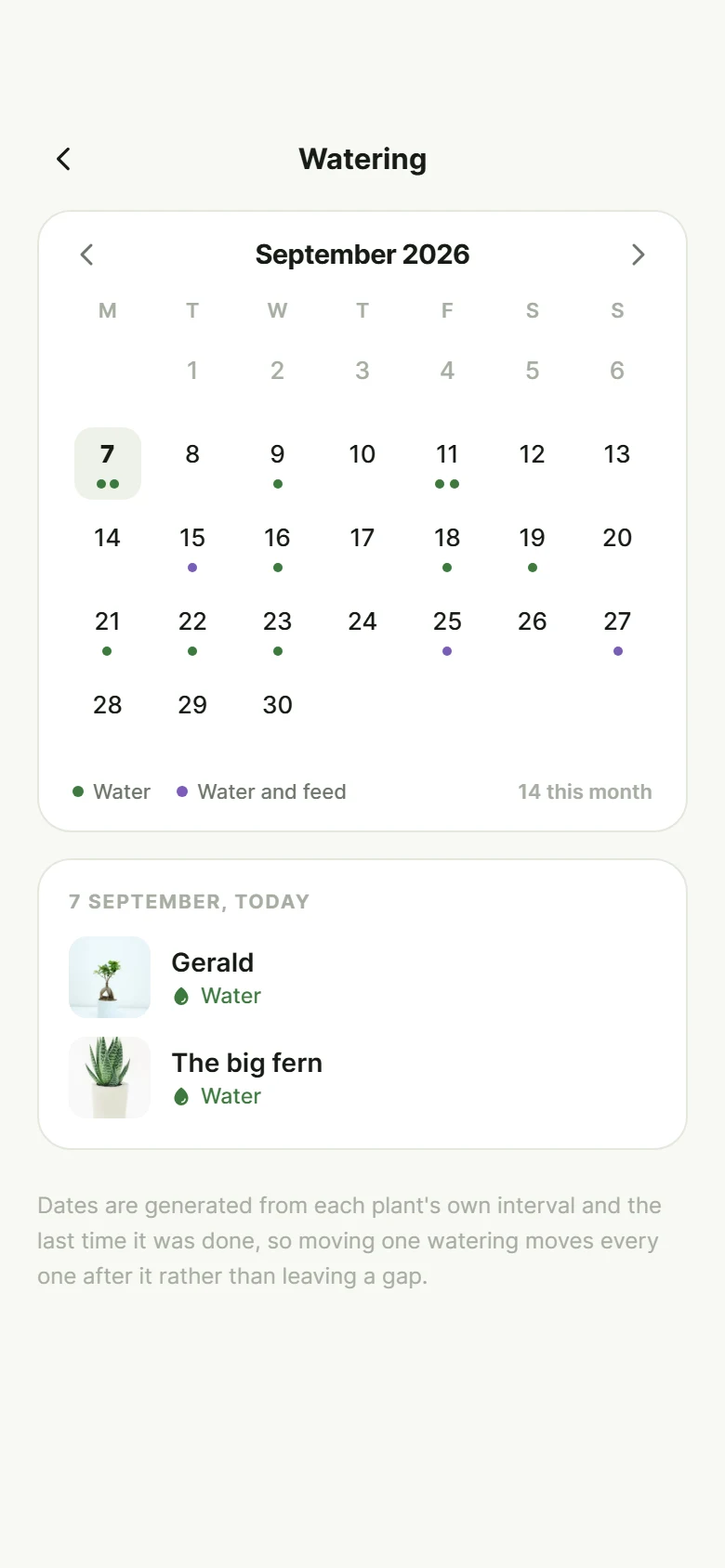 Fern Watering Calendar preview