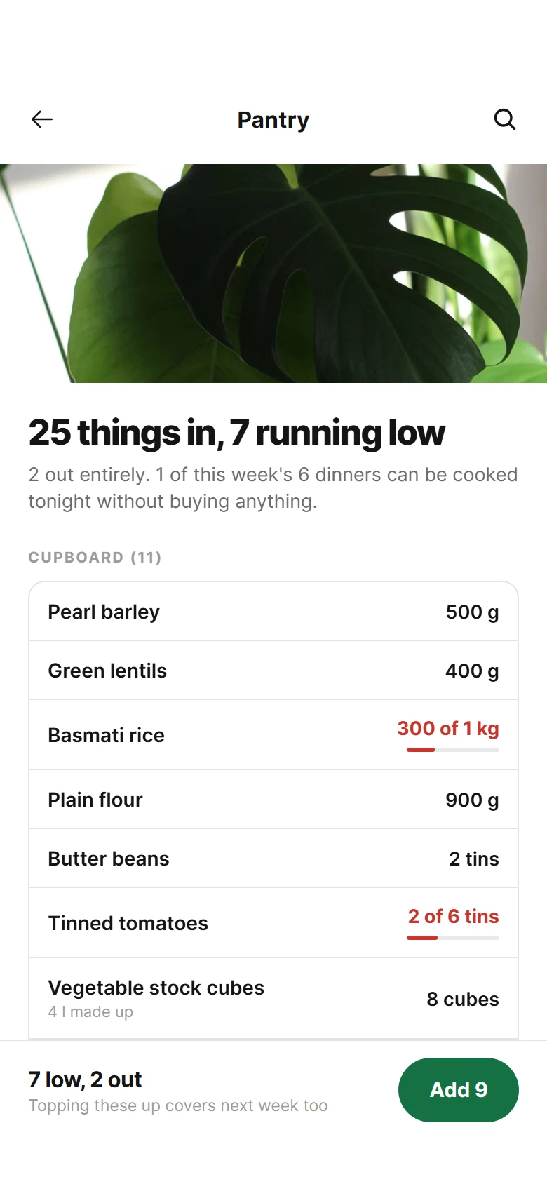 Mise Pantry preview