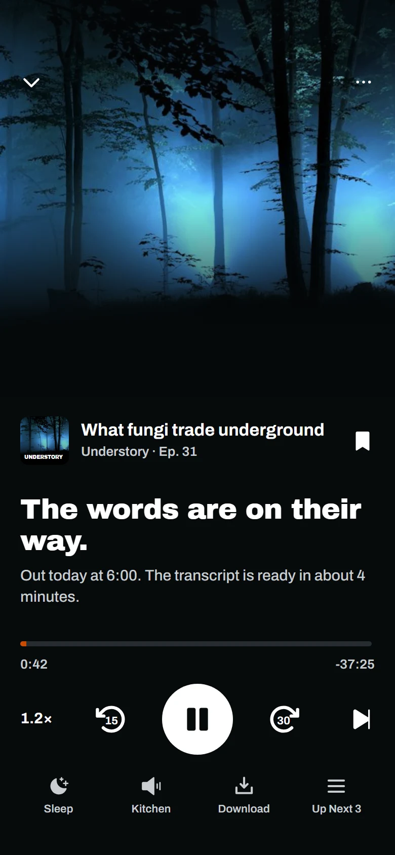 Podgląd Murmur Transcript Not Ready