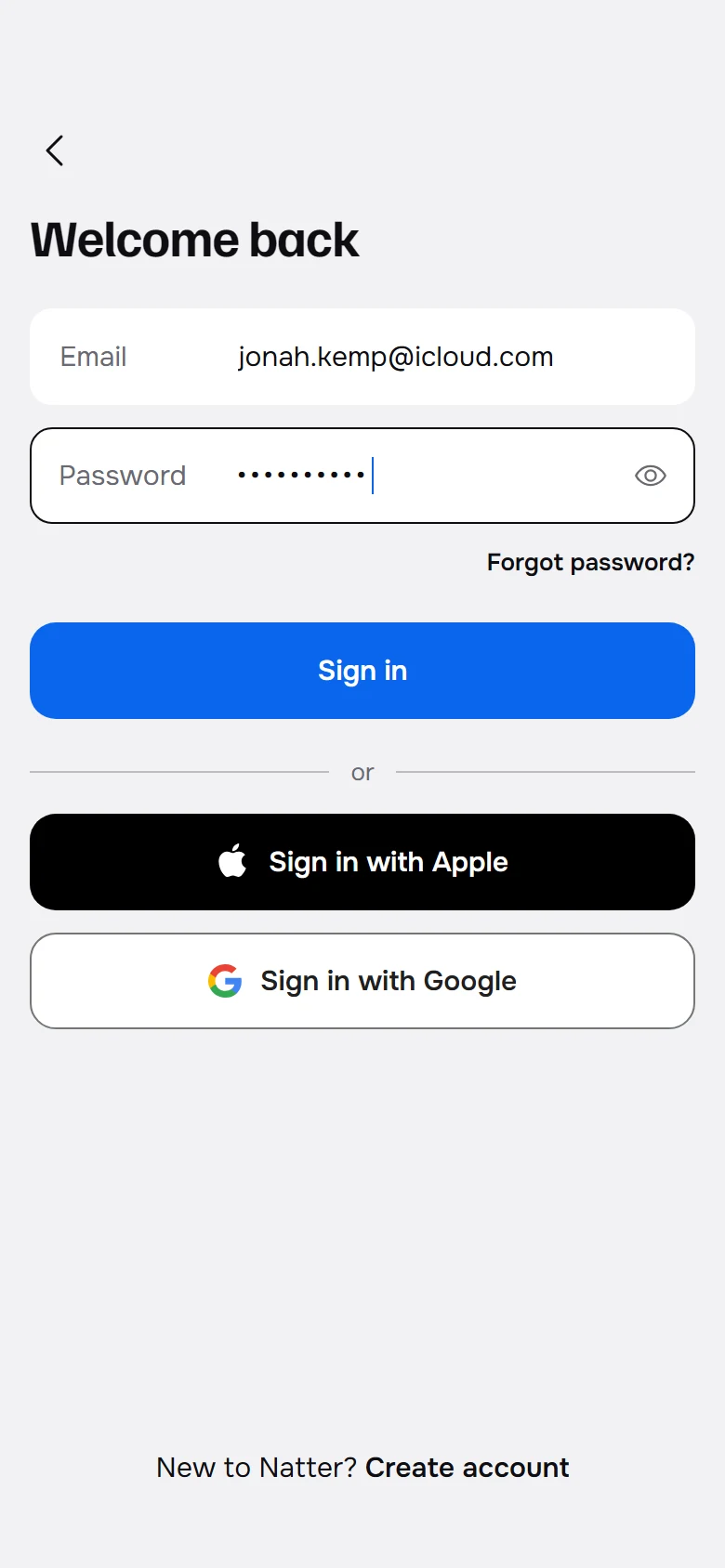 Natter Sign In preview