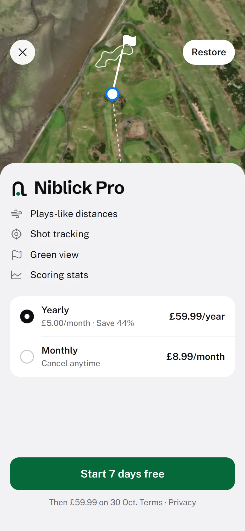 Niblick Pro preview