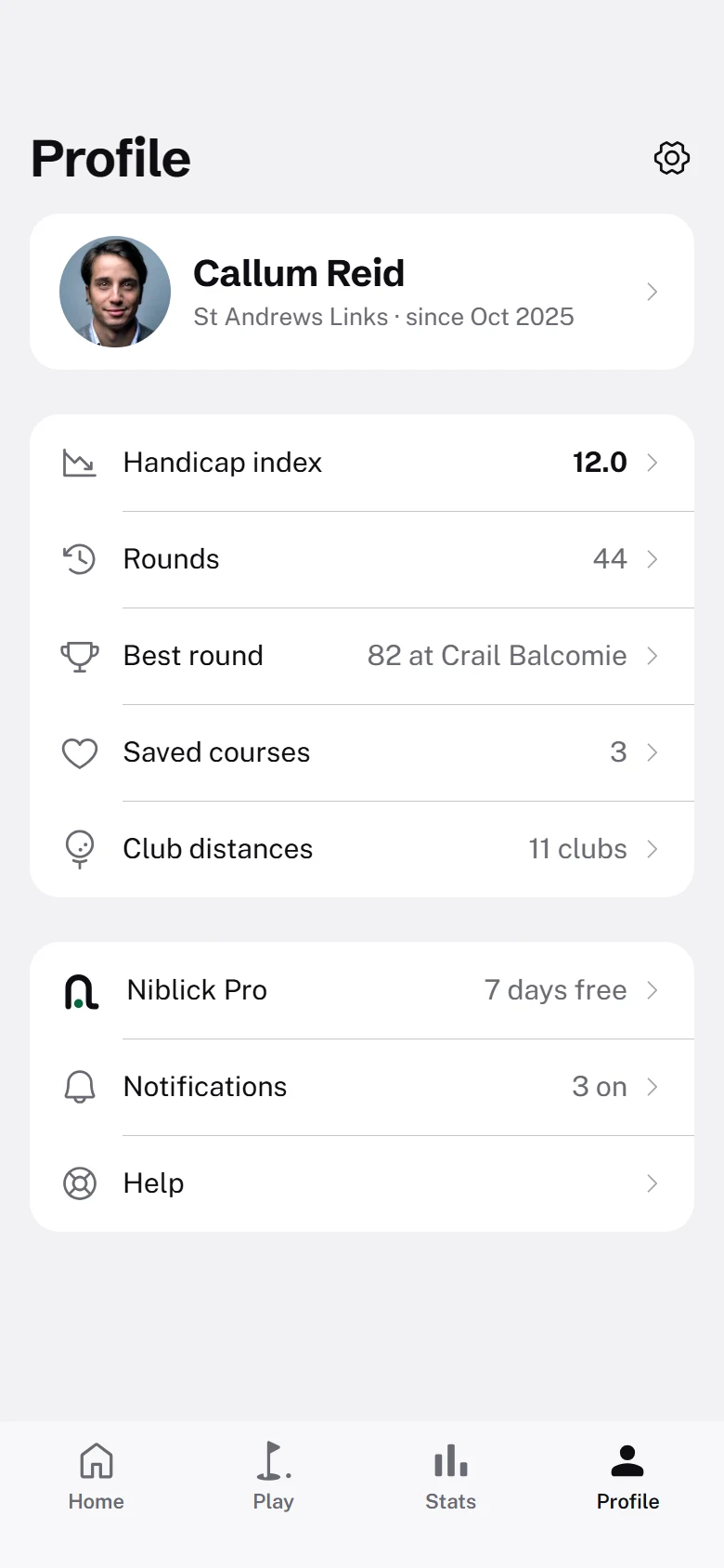 Niblick Profile preview