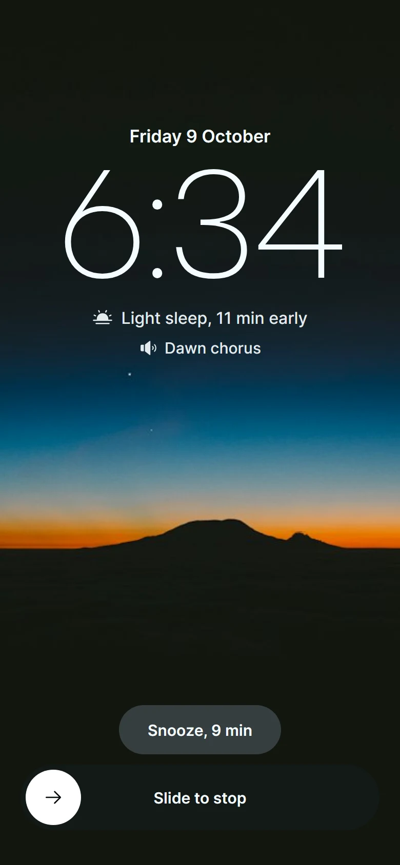 Nightjar Alarm Ringing preview