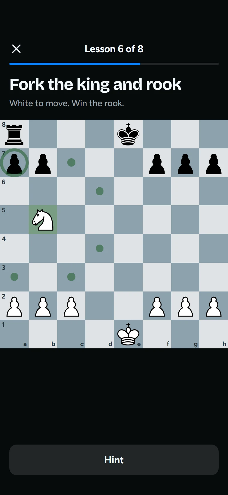 Rook Lesson preview