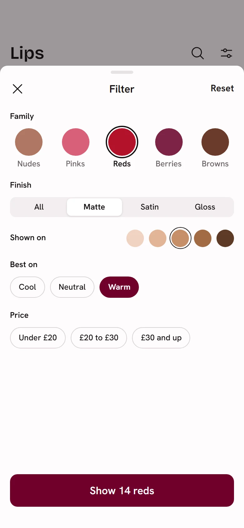 Rouge Store Filters preview