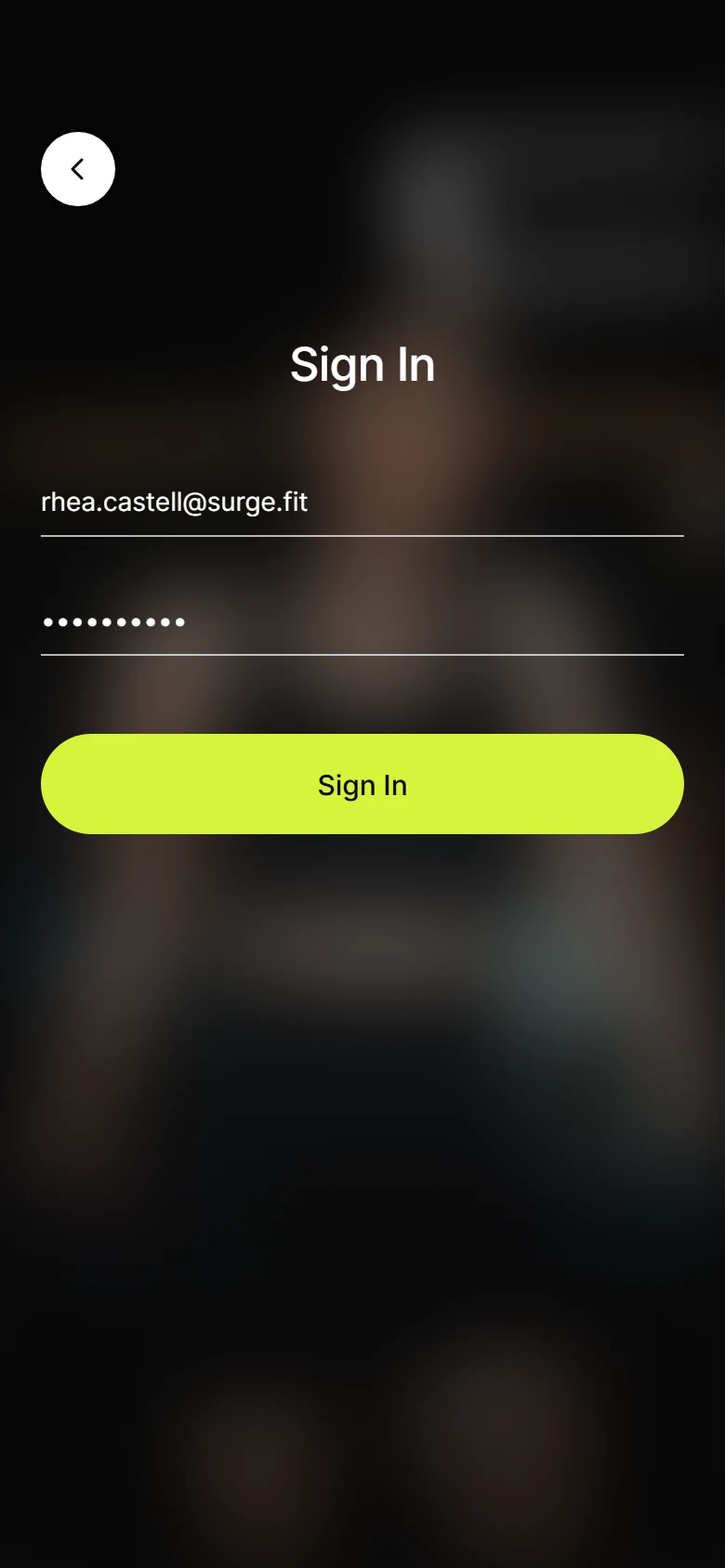 Surge Sign In preview
