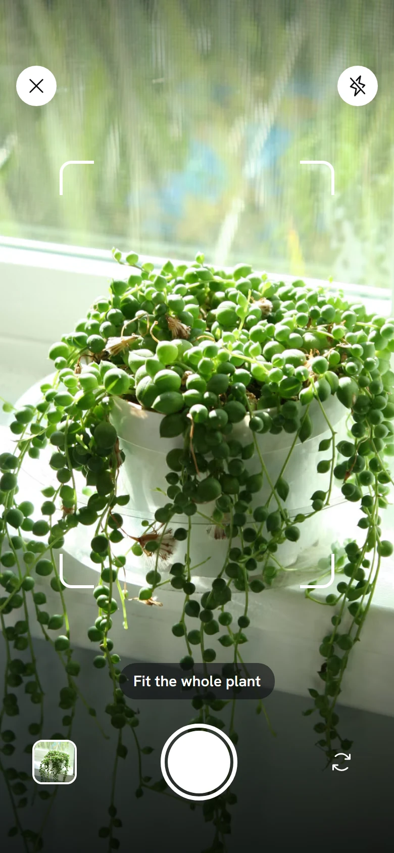 Tendril Identify preview