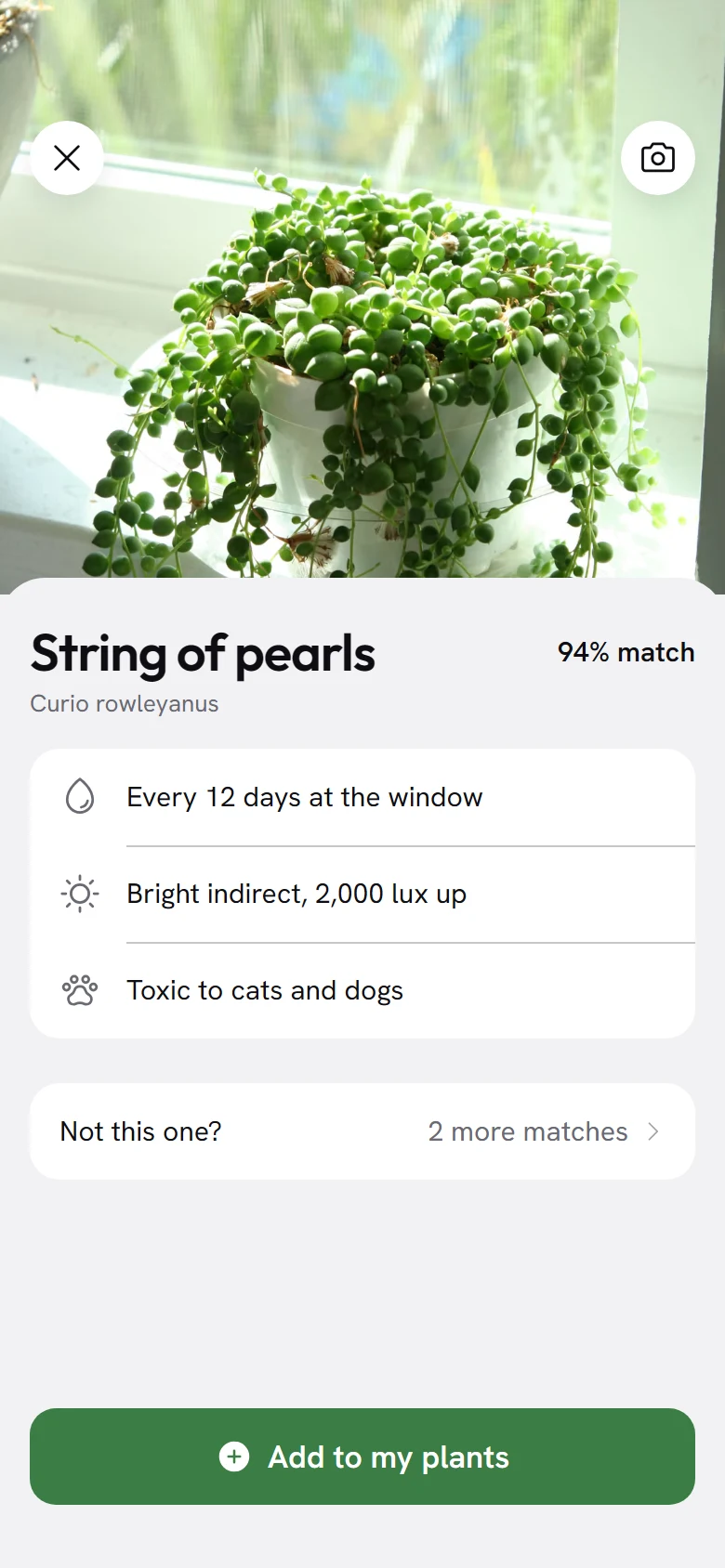 Tendril Match preview
