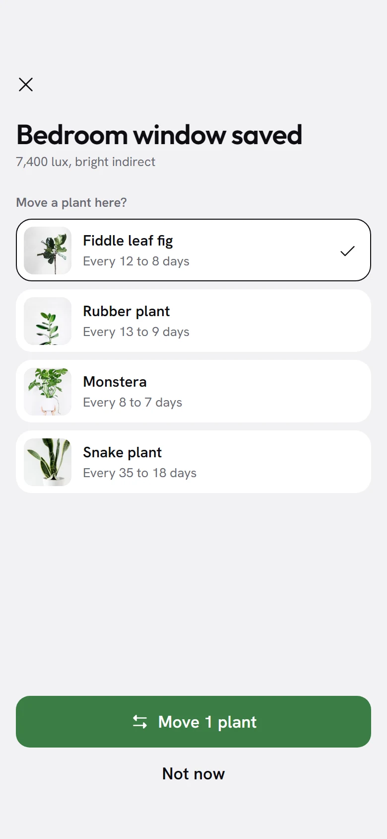 Tendril Move Here preview