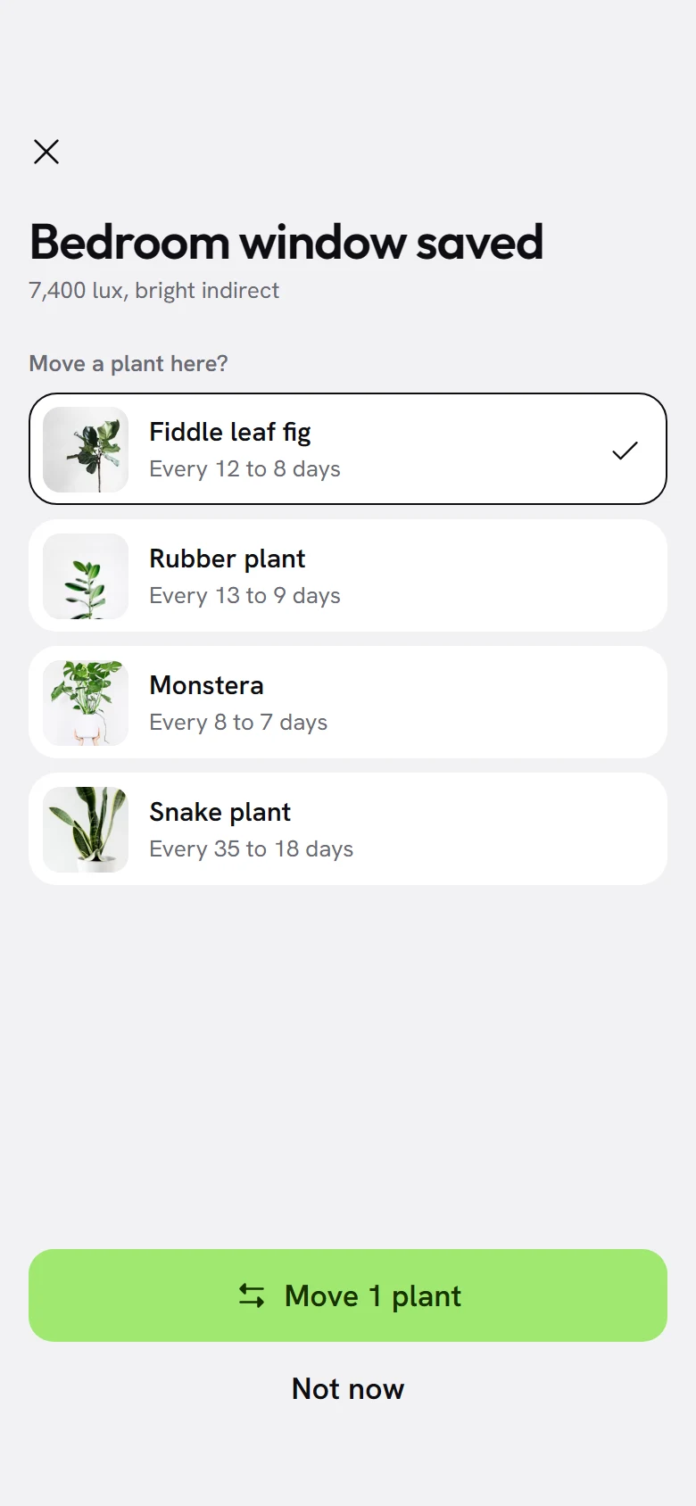 Tendril Move Here preview