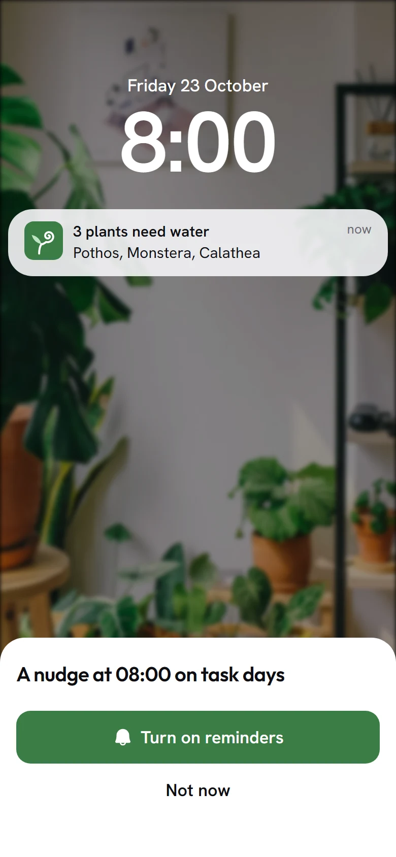 Tendril Notifications Prime preview