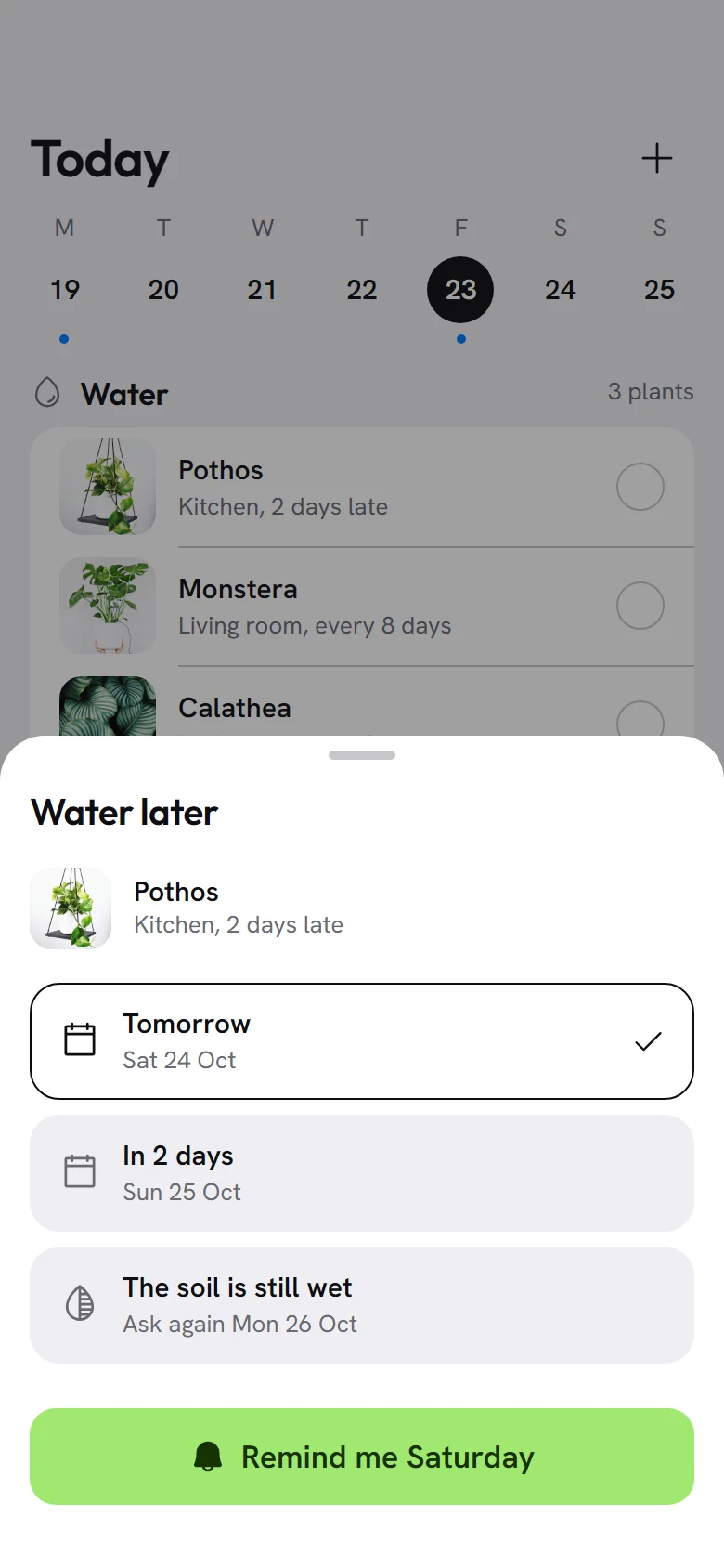 Tendril Water Later preview