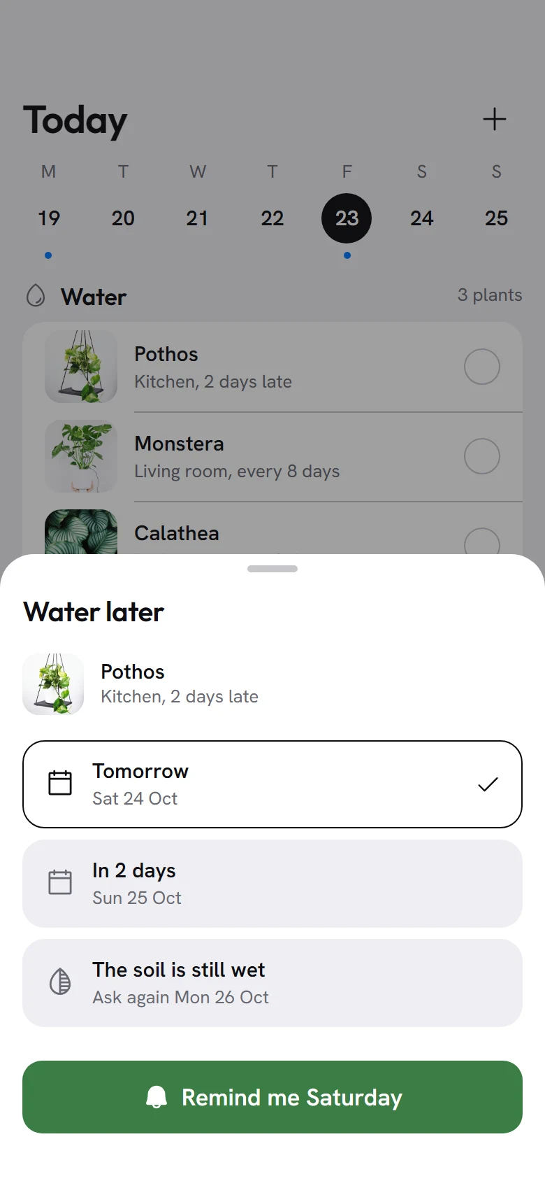 Tendril Water Later preview