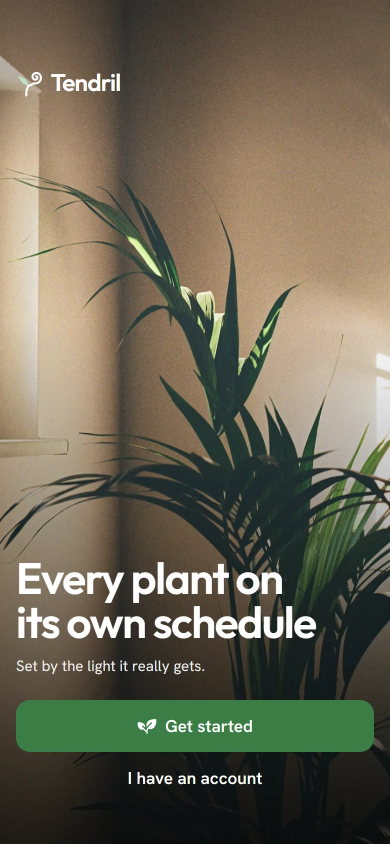 Tendril Welcome preview