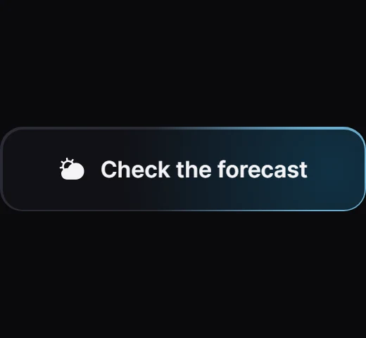 Torch Check the forecast preview