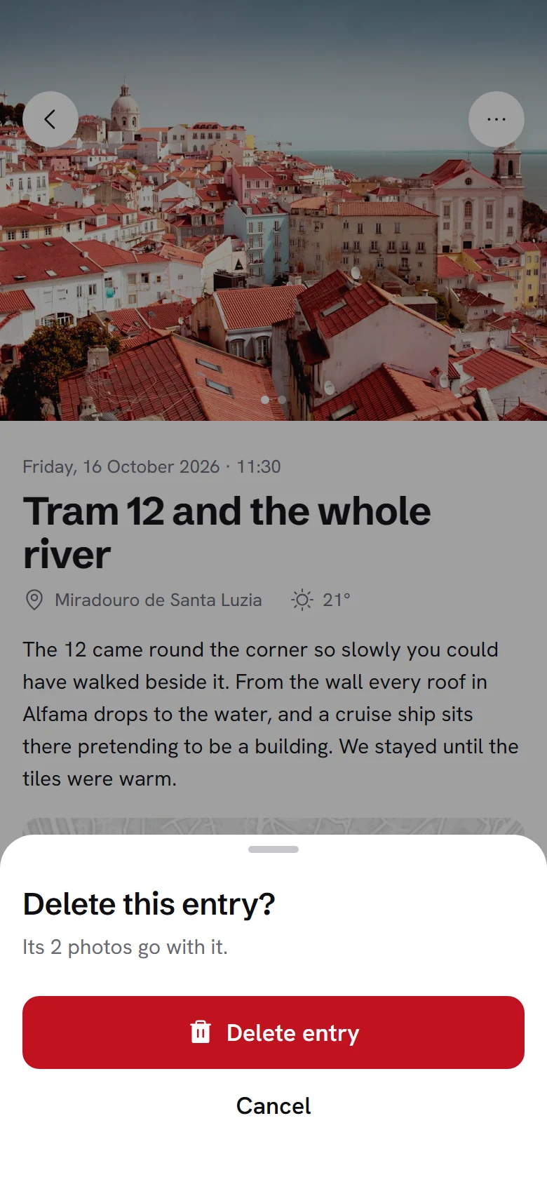 Vellum Delete Entry preview