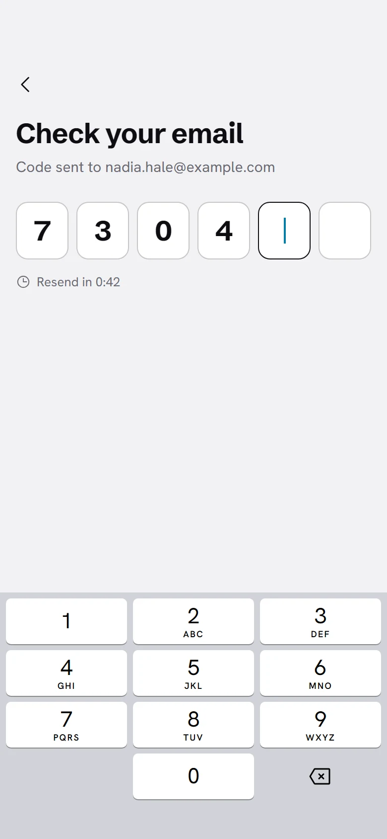Vellum Verify Code preview