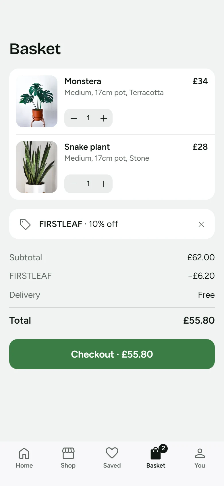 Verdant Store Basket With Promo preview